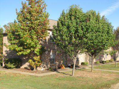 Craigslist Rooms For Rent Clarksville Tn Craigslist Rooms For Rent Clarksville Tn